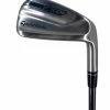 TaylorMade P790 Forged Irons