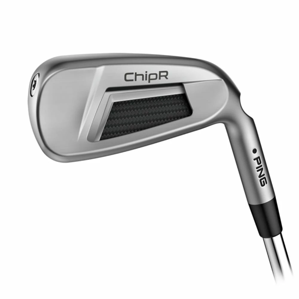 Ping ChipR 1 Ping ChipR